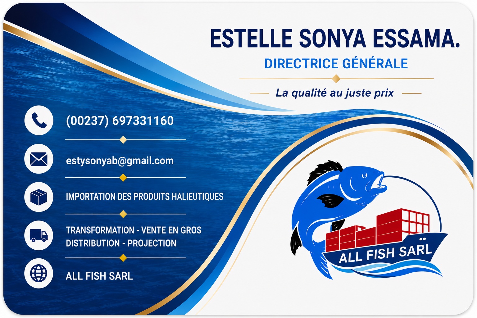 Identité visuelle ALL FISH SARL